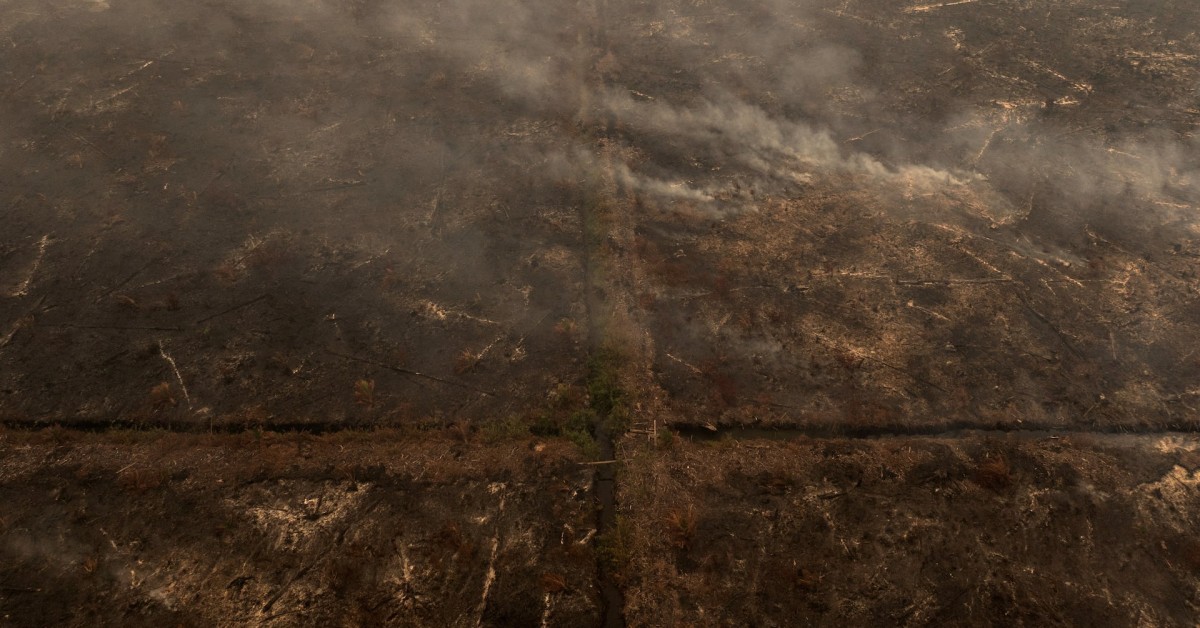 Indonesia Escalates Wildfire Response as Super El Niño Intensifies