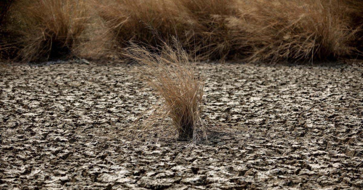 Powerful El Niño Could Push 49 Million More People Into Acute Hunger