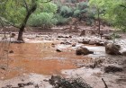 Grand Canyon Flash Flood Triggers Evacuations and Search Operation