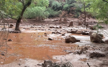 Grand Canyon Flash Flood Triggers Evacuations and Search Operation