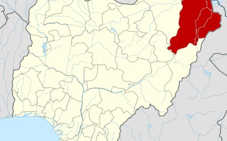 Terrorism: 76 primary schools shut, 80 students remain in captivity in Borno LGA – Official