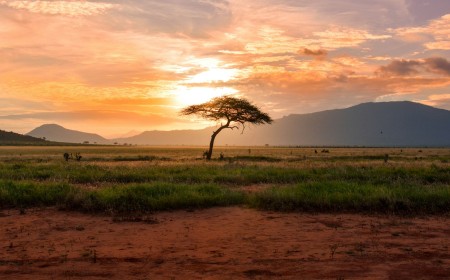 Africa's Infrastructure Opportunity Depends on Better Project Delivery