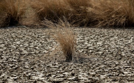Powerful El Niño Could Push 49 Million More People Into Acute Hunger