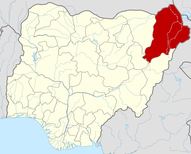 Terrorism: 76 primary schools shut, 80 students remain in captivity in Borno LGA – Official