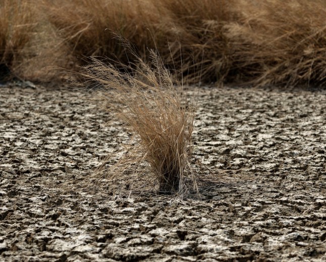 Powerful El Niño Could Push 49 Million More People Into Acute Hunger