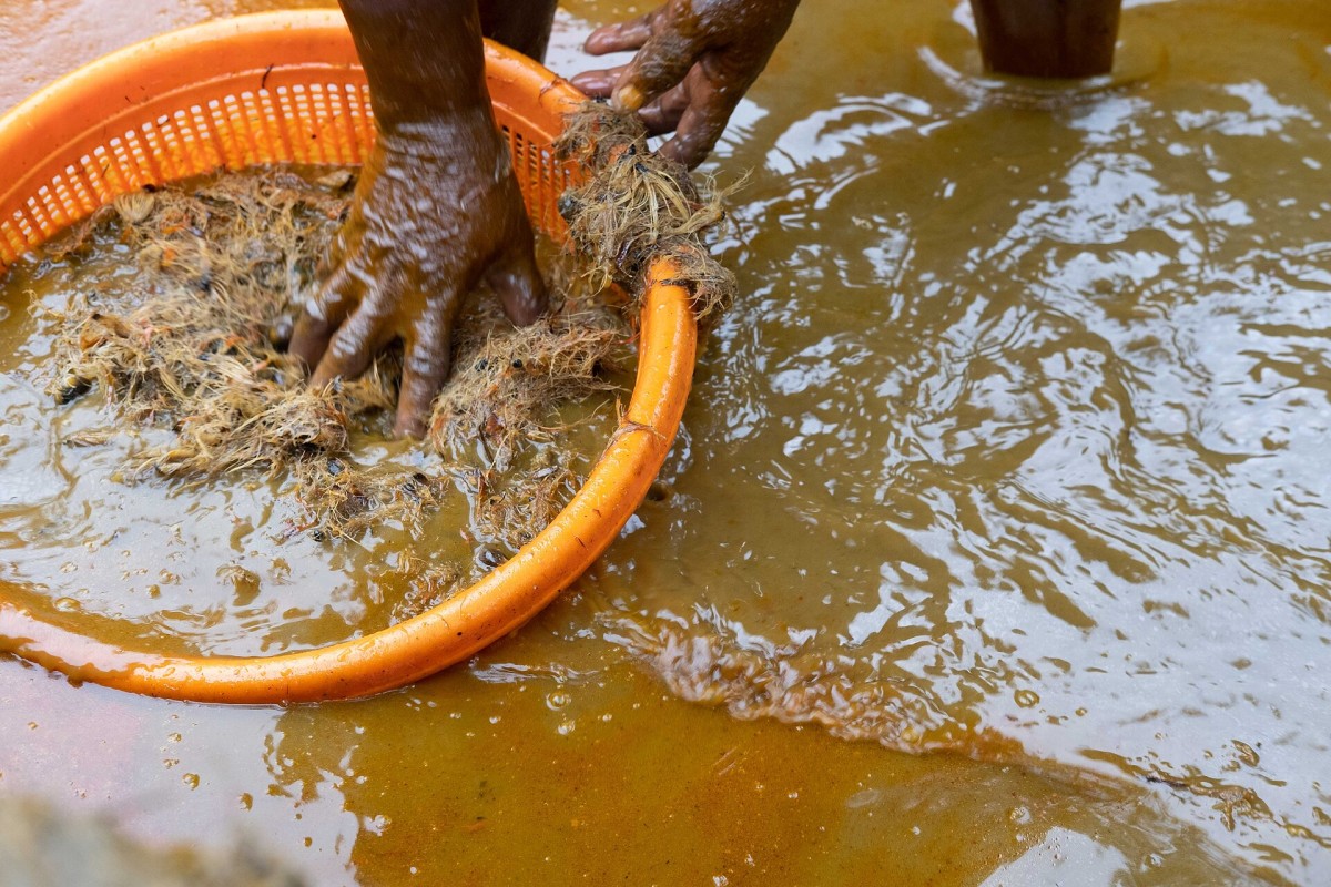 Nigeria’s UfarmX Says It Has Facilitated $6.8m in Agricultural Commerce