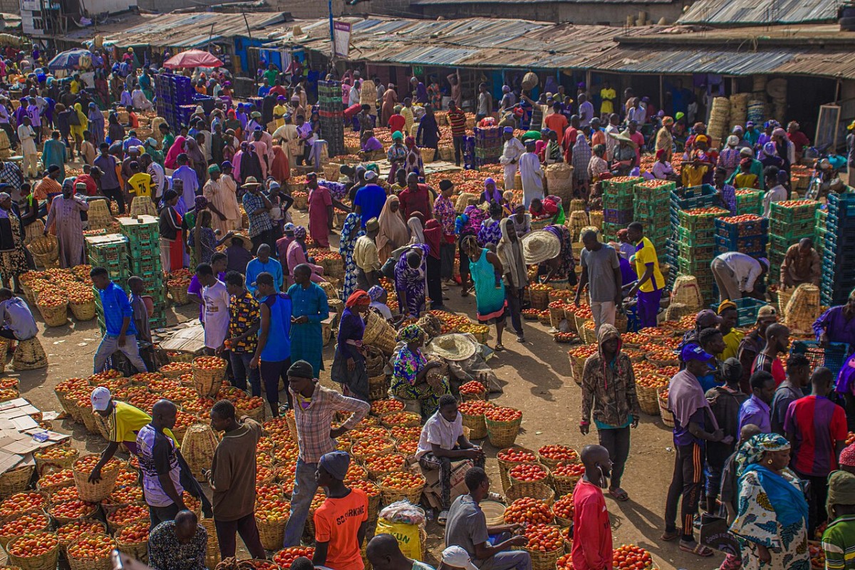 Tomato Jos secures $2.5m to expand processing and irrigation