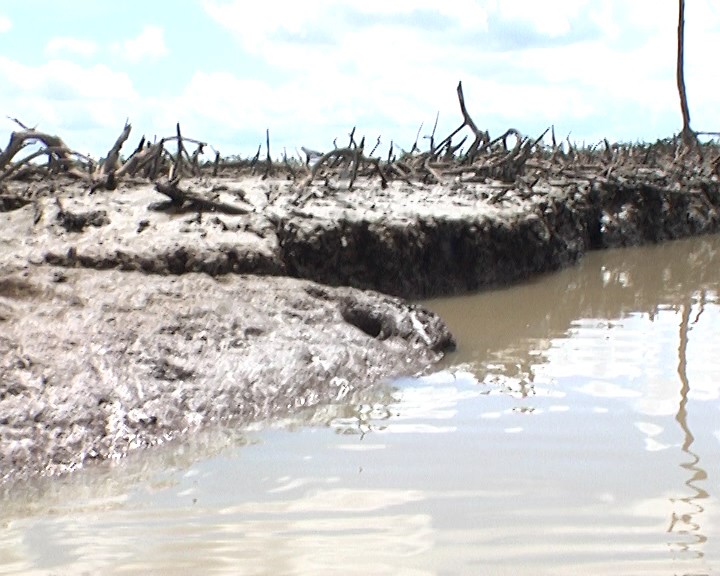 Bayelsa group seeks remediation after reported pipeline spill