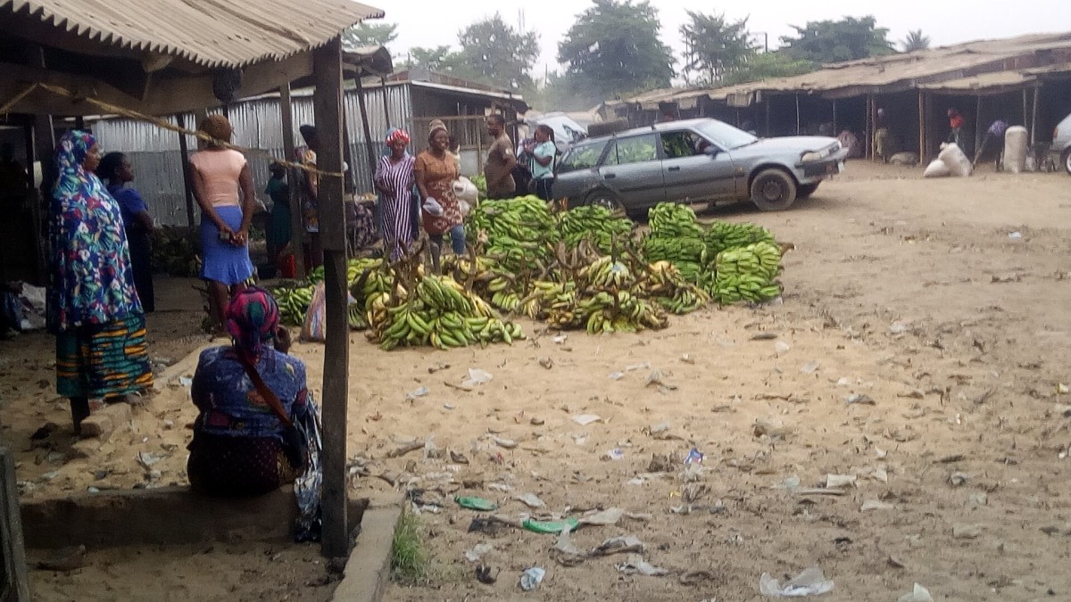 Benue receives 100 vials of anti-snake venom from federal ministry