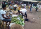 Benue flags rising malnutrition among women and children in camps