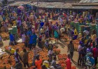 Tomato Jos secures $2.5m to expand processing and irrigation