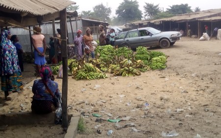 Benue receives 100 vials of anti-snake venom from federal ministry