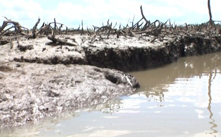 Bayelsa group seeks remediation after reported pipeline spill