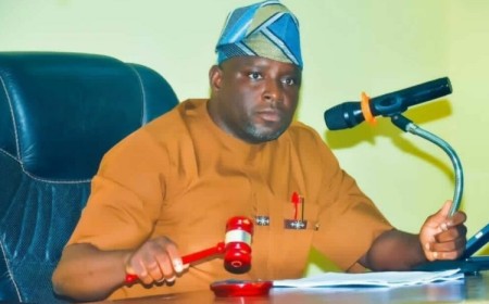 Benue Assembly Passes Bill for Free Snakebite Treatment