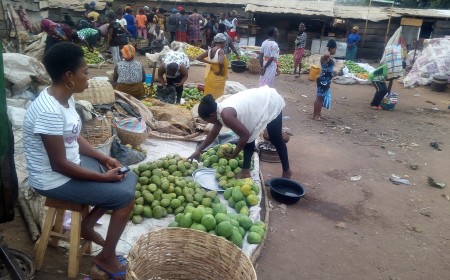 Benue flags rising malnutrition among women and children in camps