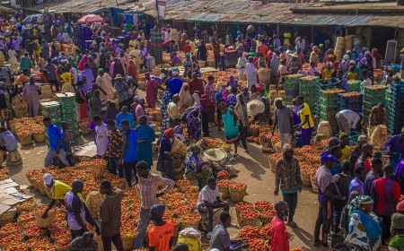 Tomato Jos secures $2.5m to expand processing and irrigation