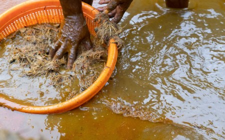 Nigeria’s UfarmX Says It Has Facilitated $6.8m in Agricultural Commerce