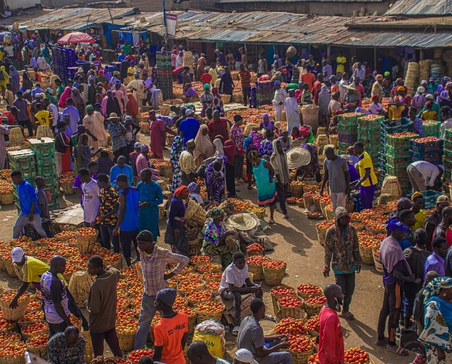 Tomato Jos secures $2.5m to expand processing and irrigation