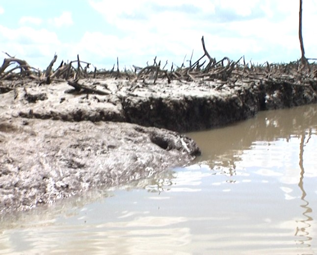 Bayelsa group seeks remediation after reported pipeline spill
