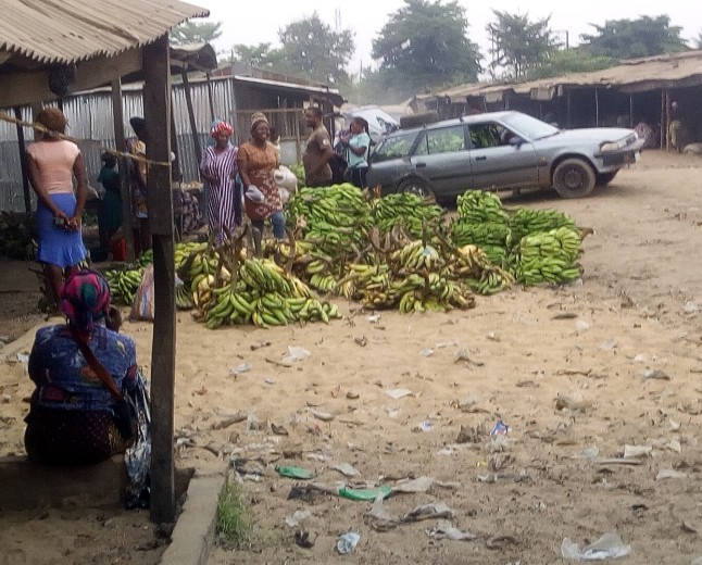 Benue receives 100 vials of anti-snake venom from federal ministry