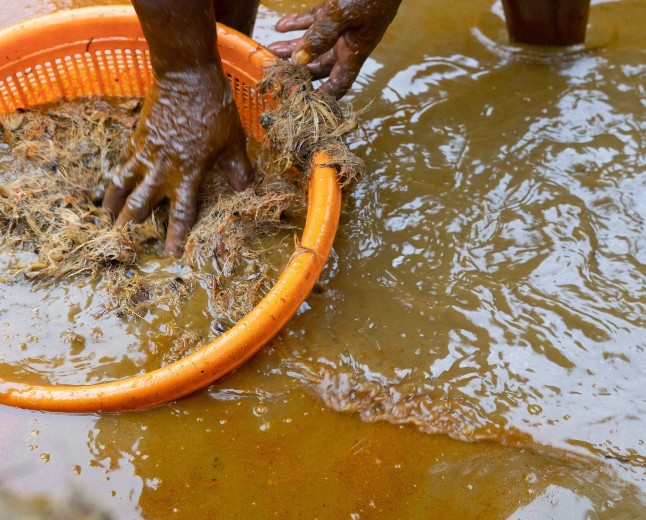 Nigeria’s UfarmX Says It Has Facilitated $6.8m in Agricultural Commerce