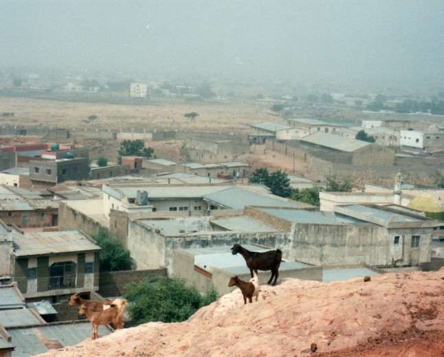 Egyptian engineers assess Taraku Mills ahead of planned restart