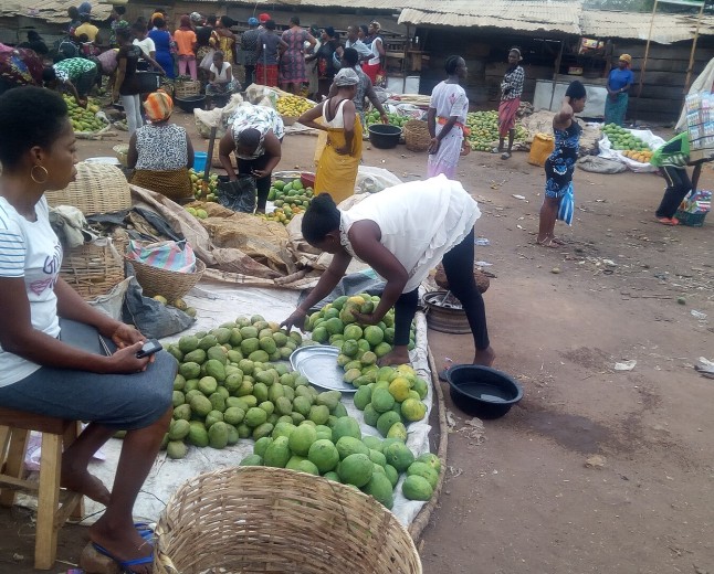 Benue flags rising malnutrition among women and children in camps