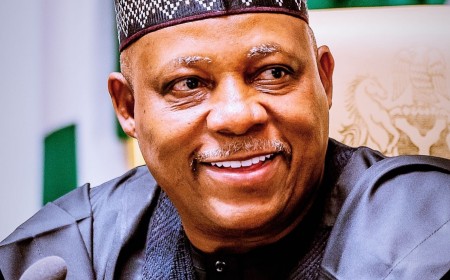 Nigeria renews call for Africa’s permanent voice on UN Security Council