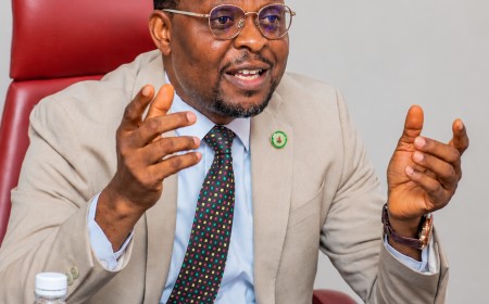 How Alia Grew BIPC's Stock Valuation from ₦7.9bn to ₦25.1bn in Three Years - Asemakaha