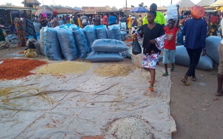SPRiNG reports N37.5m livelihood grants across three Benue councils