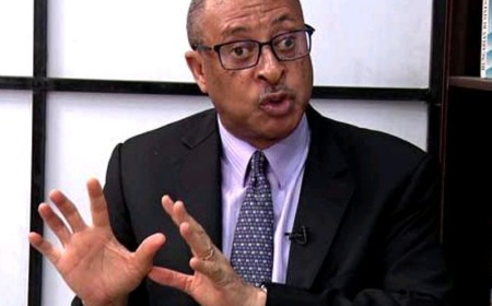Peter Obi Can Strengthen Naira to ₦500/$, Cut Food Prices by 50% – Pat Utomi