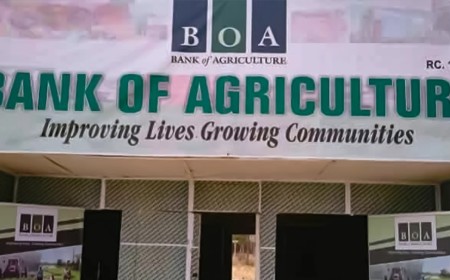 BOA, AFAN Move to Fund 400,000 Dry-Season Farmers