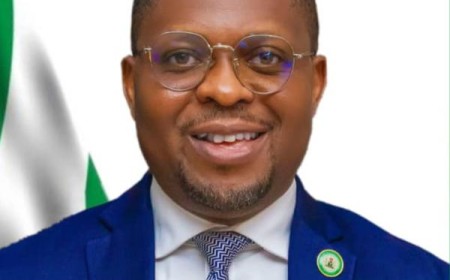 Benue investment company audits collapsed factories in revival push