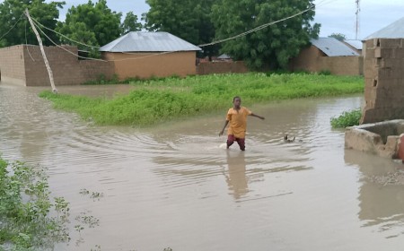 Opinion: flood relief should come with a public delivery record