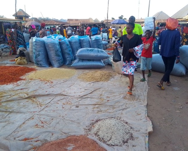 SPRiNG reports N37.5m livelihood grants across three Benue councils