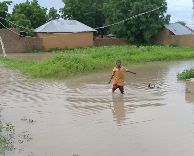 Opinion: flood relief should come with a public delivery record